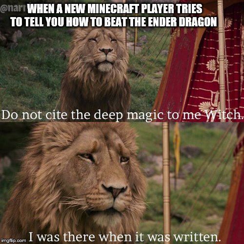 Do not cite the deep magic to me witch | WHEN A NEW MINECRAFT PLAYER TRIES TO TELL YOU HOW TO BEAT THE ENDER DRAGON | image tagged in do not cite the deep magic to me witch | made w/ Imgflip meme maker