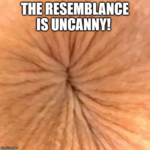 Butthole | THE RESEMBLANCE IS UNCANNY! | image tagged in butthole | made w/ Imgflip meme maker