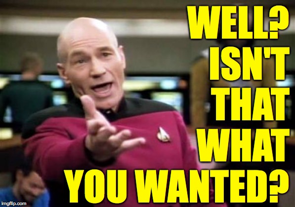 Picard Wtf Meme | WELL?
ISN'T
THAT
WHAT
YOU WANTED? | image tagged in memes,picard wtf | made w/ Imgflip meme maker