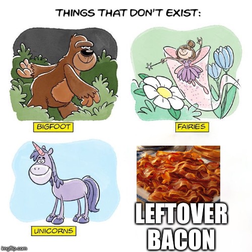 Things That Don't Exist | LEFTOVER BACON | image tagged in things that don't exist | made w/ Imgflip meme maker