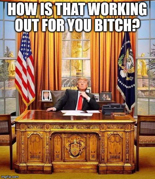  President Trump | HOW IS THAT WORKING OUT FOR YOU B**CH? | image tagged in president trump | made w/ Imgflip meme maker