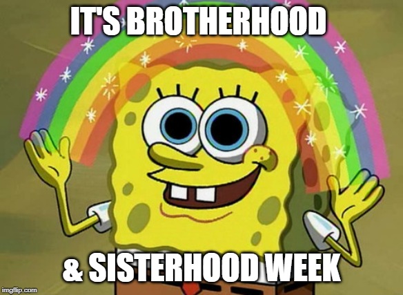 Imagination Spongebob | IT'S BROTHERHOOD; & SISTERHOOD WEEK | image tagged in memes,imagination spongebob | made w/ Imgflip meme maker