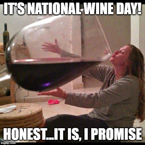 Wine Drinker | IT'S NATIONAL WINE DAY! HONEST...IT IS, I PROMISE | image tagged in wine drinker | made w/ Imgflip meme maker