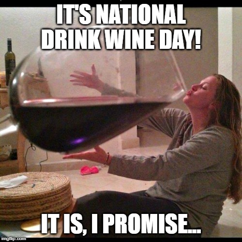 Wine Drinker | IT'S NATIONAL DRINK WINE DAY! IT IS, I PROMISE... | image tagged in wine drinker | made w/ Imgflip meme maker