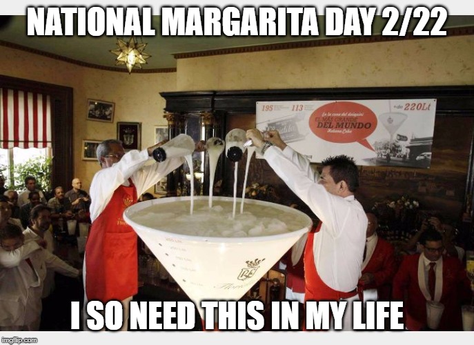 National Margarita Day 2/22 | NATIONAL MARGARITA DAY 2/22; I SO NEED THIS IN MY LIFE | image tagged in national margarita day 2/22 | made w/ Imgflip meme maker