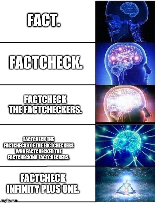 Expanding Brain 5 Panel | FACT. FACTCHECK. FACTCHECK THE FACTCHECKERS. FACTCHECK THE FACTCHECKS OF THE FACTCHECKERS WHO FACTCHECKED THE FACTCHECKING FACTCHECKERS. FACTCHECK INFINITY PLUS ONE. | image tagged in expanding brain 5 panel | made w/ Imgflip meme maker