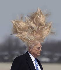 High Quality Trump Hair Blank Meme Template