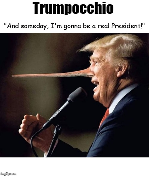 Trumpocchio; "And someday, I'm gonna be a real President!"; COVELL BELLAMY III | image tagged in trumpocchio | made w/ Imgflip meme maker