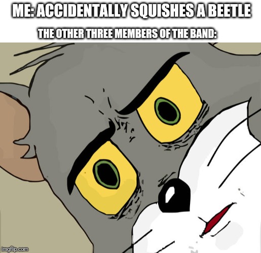 Whoops! |  ME: ACCIDENTALLY SQUISHES A BEETLE; THE OTHER THREE MEMBERS OF THE BAND: | image tagged in blank white template,memes,unsettled tom,funny,funny memes,brimmuthafukinstone | made w/ Imgflip meme maker