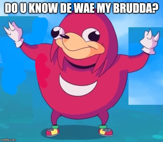 Do u know de wae my brudda? | DO U KNOW DE WAE MY BRUDDA? | image tagged in ugandan knuckles,memes,dank memes,funny memes,do you know da wae,de wae | made w/ Imgflip meme maker