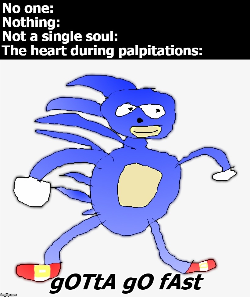 Sonic "Gotta Go Fast" Meme.