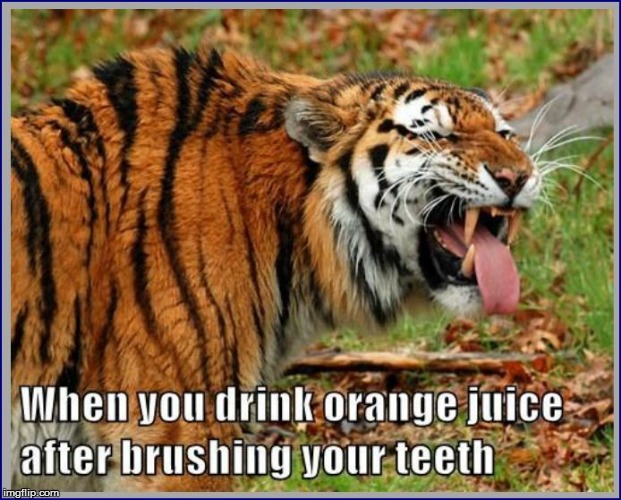 Didja ever.... | image tagged in funny | made w/ Imgflip meme maker