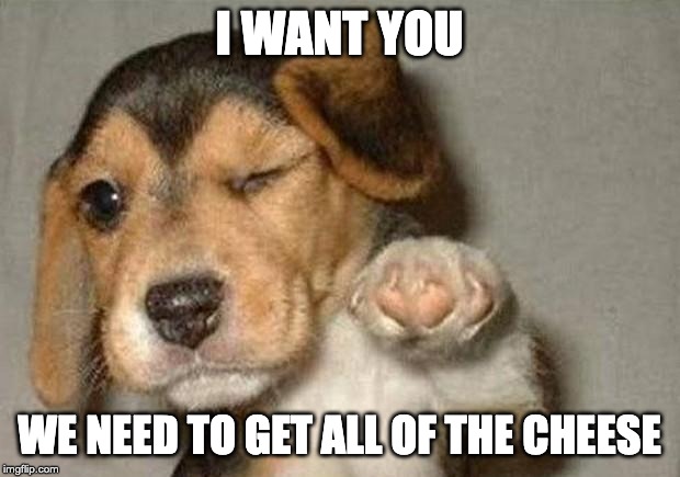 Winking Dog | I WANT YOU; WE NEED TO GET ALL OF THE CHEESE | image tagged in winking dog | made w/ Imgflip meme maker
