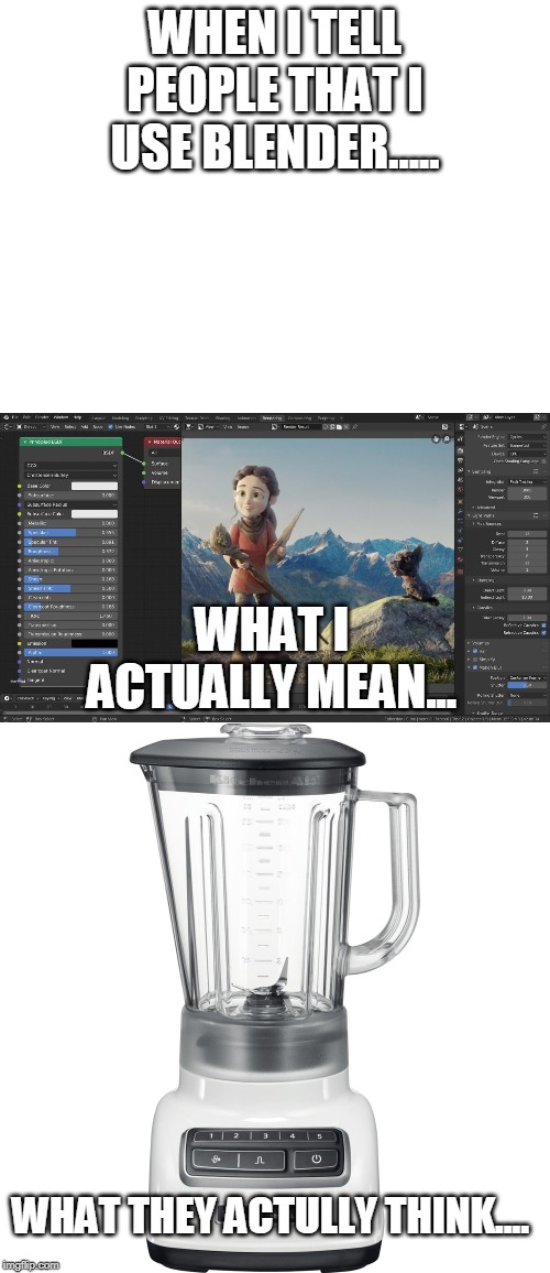 WHEN I TELL PEOPLE THAT I USE BLENDER..... WHAT I ACTUALLY MEAN... WHAT THEY ACTULLY THINK.... | image tagged in blank white template | made w/ Imgflip meme maker