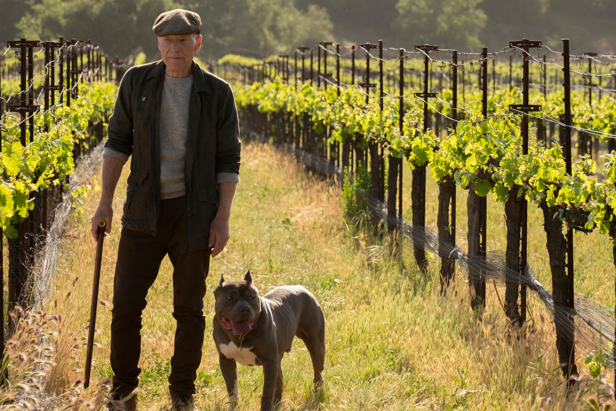 Set a Course For No Remorse! Blank Meme Template