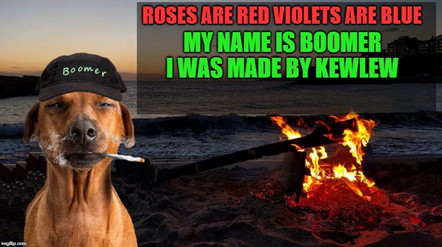 ROSES ARE RED VIOLETS ARE BLUE; MY NAME IS BOOMER I WAS MADE BY KEWLEW | image tagged in boomer says by kewlew | made w/ Imgflip meme maker