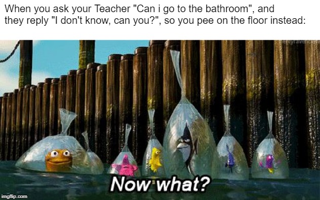 Now What? | When you ask your Teacher "Can i go to the bathroom", and they reply "I don't know, can you?", so you pee on the floor instead: | image tagged in now what | made w/ Imgflip meme maker