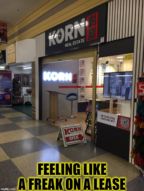 Korn | FEELING LIKE A FREAK ON A LEASE | image tagged in korn real estate,funny,korn,memes,metal,music | made w/ Imgflip meme maker