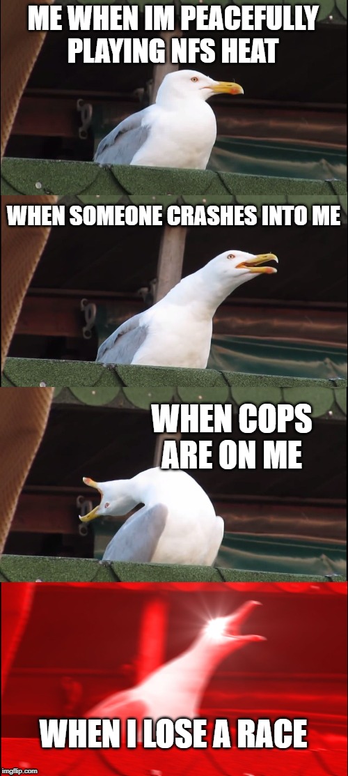 Inhaling Seagull Meme | ME WHEN IM PEACEFULLY PLAYING NFS HEAT; WHEN SOMEONE CRASHES INTO ME; WHEN COPS ARE ON ME; WHEN I LOSE A RACE | image tagged in memes,inhaling seagull | made w/ Imgflip meme maker