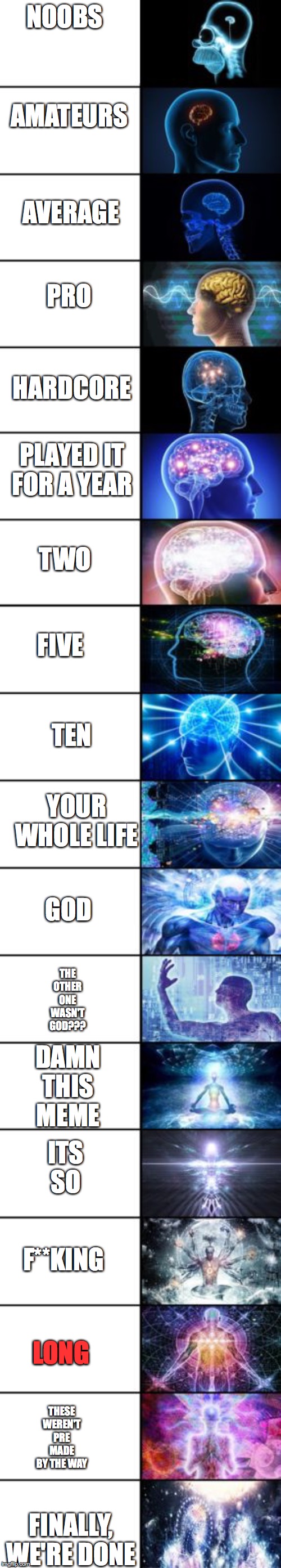 Expanding Brain longest version | AMATEURS; NOOBS; AVERAGE; HARDCORE; PRO; TWO; PLAYED IT FOR A YEAR; FIVE; TEN; GOD; YOUR WHOLE LIFE; THE OTHER ONE WASN'T GOD??? DAMN THIS MEME; ITS SO; F**KING; LONG; FINALLY, WE'RE DONE; THESE WEREN'T PRE MADE BY THE WAY | image tagged in expanding brain longest version | made w/ Imgflip meme maker