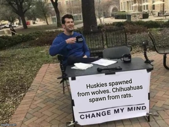 Change My Mind Meme | Huskies spawned from wolves. Chihuahuas spawn from rats. | image tagged in memes,change my mind | made w/ Imgflip meme maker