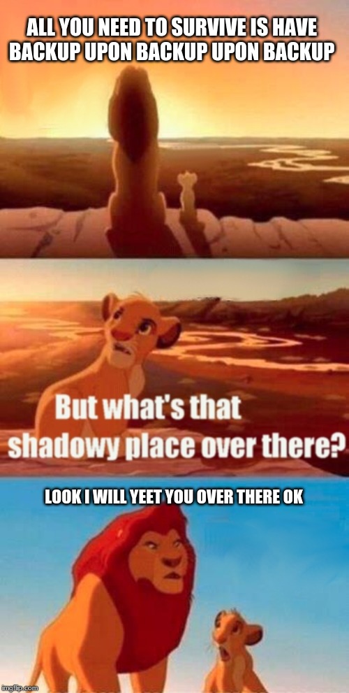Simba Shadowy Place | ALL YOU NEED TO SURVIVE IS HAVE 
BACKUP UPON BACKUP UPON BACKUP; LOOK I WILL YEET YOU OVER THERE OK | image tagged in memes,simba shadowy place | made w/ Imgflip meme maker