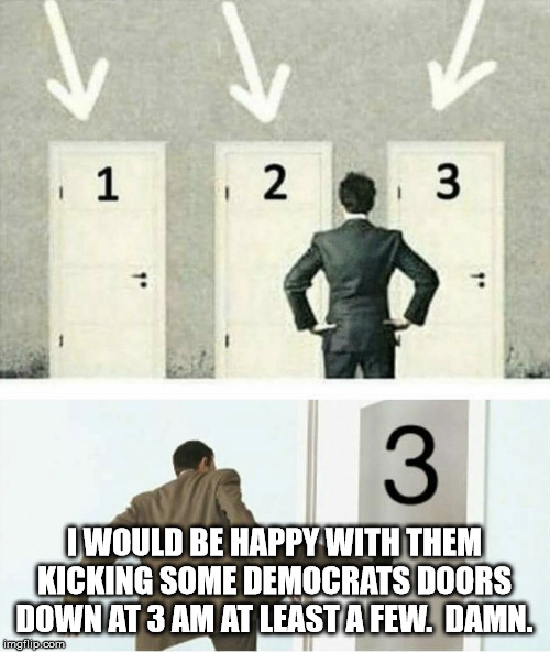 Three doors | I WOULD BE HAPPY WITH THEM KICKING SOME DEMOCRATS DOORS DOWN AT 3 AM AT LEAST A FEW.  DAMN. | image tagged in three doors | made w/ Imgflip meme maker