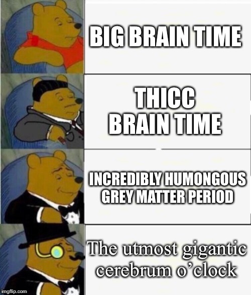 Ohh yea this is big brain time | BIG BRAIN TIME; THICC BRAIN TIME; INCREDIBLY HUMONGOUS GREY MATTER PERIOD; The utmost gigantic cerebrum o’clock | image tagged in tuxedo winnie the pooh 4 panel | made w/ Imgflip meme maker