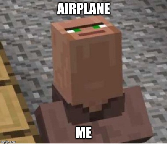Minecraft Villager Looking Up | AIRPLANE; ME | image tagged in minecraft villager looking up | made w/ Imgflip meme maker