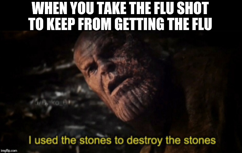 I used the stones to destroy the stones | WHEN YOU TAKE THE FLU SHOT TO KEEP FROM GETTING THE FLU | image tagged in i used the stones to destroy the stones | made w/ Imgflip meme maker