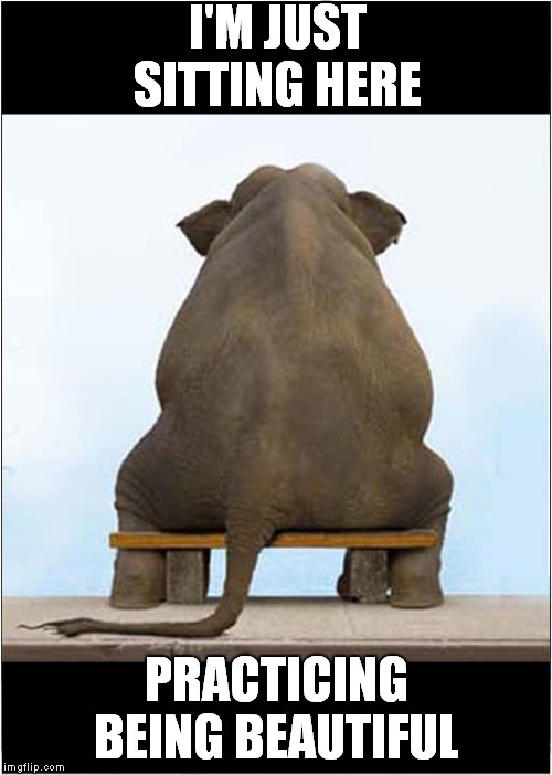 Elephant Just Watching The World Go By | I'M JUST SITTING HERE; PRACTICING BEING BEAUTIFUL | image tagged in fun,elephant sitting | made w/ Imgflip meme maker