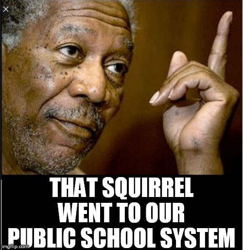 THAT SQUIRREL WENT TO OUR PUBLIC SCHOOL SYSTEM | made w/ Imgflip meme maker