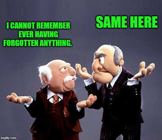 i dont remember forgetting anything | SAME HERE; I CANNOT REMEMBER EVER HAVING FORGOTTEN ANYTHING. | image tagged in statler and waldorf,bad memory | made w/ Imgflip meme maker