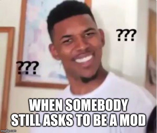 Nick Young | WHEN SOMEBODY STILL ASKS TO BE A MOD | image tagged in nick young,memes,mod | made w/ Imgflip meme maker