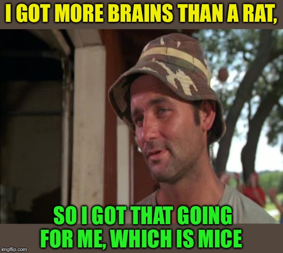 So I Got That Goin For Me Which Is Nice 2 Meme | I GOT MORE BRAINS THAN A RAT, SO I GOT THAT GOING FOR ME, WHICH IS MICE | image tagged in memes,so i got that goin for me which is nice 2 | made w/ Imgflip meme maker