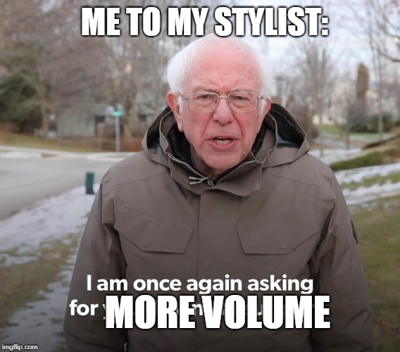 Bernie Financial Support | ME TO MY STYLIST:; MORE VOLUME | image tagged in bernie financial support | made w/ Imgflip meme maker