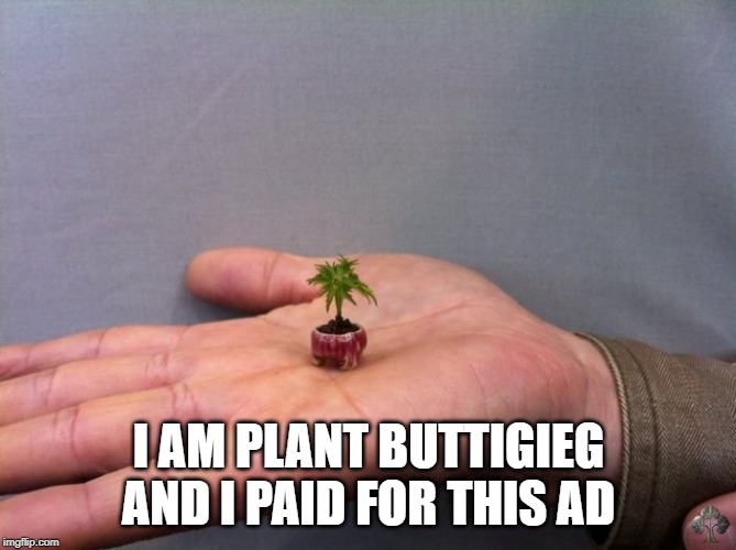 Plant Buttigieg | I AM PLANT BUTTIGIEG AND I PAID FOR THIS AD | image tagged in plant buttigieg | made w/ Imgflip meme maker