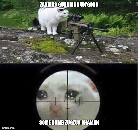 Sniper cat | ZAKKIAS GUARDING UN'GORO; SOME DUMB ZUGZUG SHAMAN | image tagged in sniper cat | made w/ Imgflip meme maker
