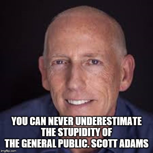 Scott Adams | YOU CAN NEVER UNDERESTIMATE THE STUPIDITY OF THE GENERAL PUBLIC. SCOTT ADAMS | image tagged in quotes | made w/ Imgflip meme maker