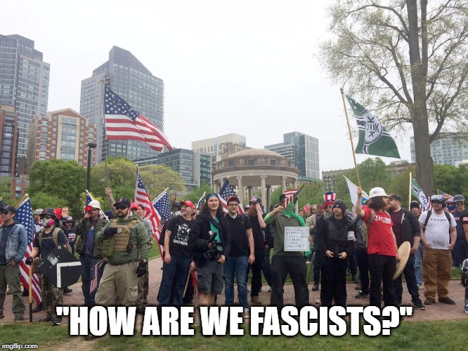 "HOW ARE WE FASCISTS?" | image tagged in fascist | made w/ Imgflip meme maker