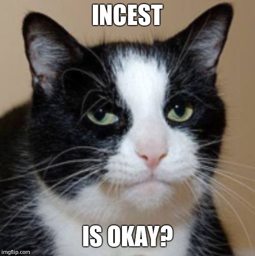 Too much cat | INCEST IS OKAY? | image tagged in too much cat | made w/ Imgflip meme maker