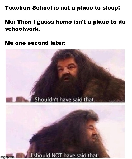 I Should NOT have said that | image tagged in school,should not have said that,hagrid | made w/ Imgflip meme maker
