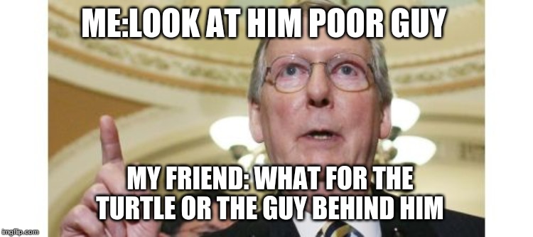 Mitch McConnell Meme | ME:LOOK AT HIM POOR GUY; MY FRIEND: WHAT FOR THE TURTLE OR THE GUY BEHIND HIM | image tagged in memes,mitch mcconnell | made w/ Imgflip meme maker