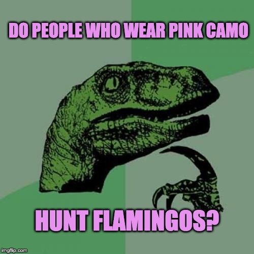 Philosoraptor Meme | DO PEOPLE WHO WEAR PINK CAMO; HUNT FLAMINGOS? | image tagged in memes,philosoraptor | made w/ Imgflip meme maker