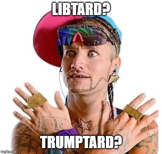 Hint...this is what I imagine the driver looks like when I drive up to a "squatted" truck. | LIBTARD? TRUMPTARD? | image tagged in politics,political meme,southern pride,libtards,stupid conservatives | made w/ Imgflip meme maker