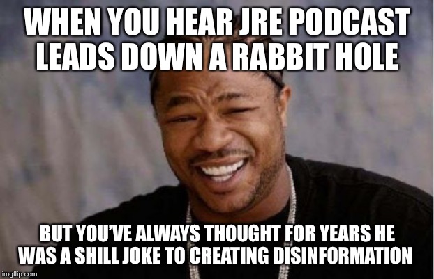 That stoner Will lead you to the fridge and quote Mickey Mouse | WHEN YOU HEAR JRE PODCAST LEADS DOWN A RABBIT HOLE; BUT YOU’VE ALWAYS THOUGHT FOR YEARS HE WAS A SHILL JOKE TO CREATING DISINFORMATION | image tagged in memes,yo dawg heard you | made w/ Imgflip meme maker