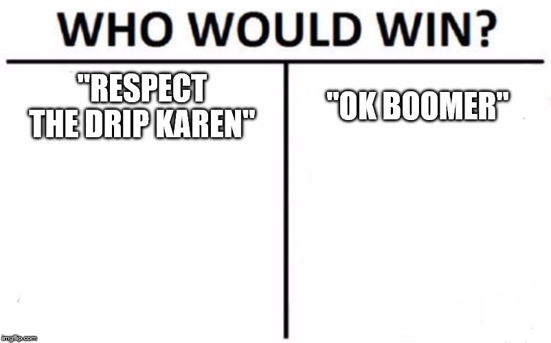 Who Would Win? | "RESPECT THE DRIP KAREN"; "OK BOOMER" | image tagged in memes,who would win | made w/ Imgflip meme maker