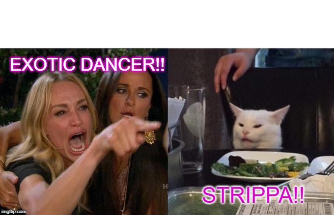 Woman Yelling At Cat Meme | EXOTIC DANCER!! STRIPPA!! | image tagged in memes,woman yelling at cat | made w/ Imgflip meme maker