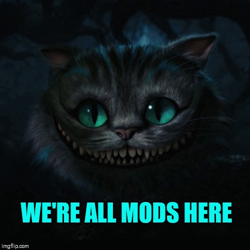 I drink too much :( | WE'RE ALL MODS HERE | image tagged in i drink too much,i regret my tattoos,matted fur,flea bitten hide,i heart sydney,sydney made me do it | made w/ Imgflip meme maker