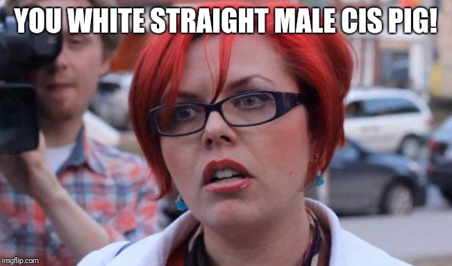 Angry Feminist | YOU WHITE STRAIGHT MALE CIS PIG! | image tagged in angry feminist | made w/ Imgflip meme maker